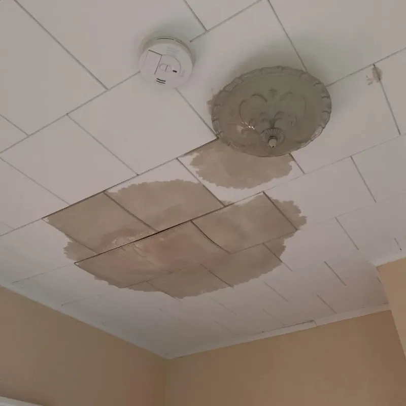 Ceiling Water Damage Repair in North Mankato, MN