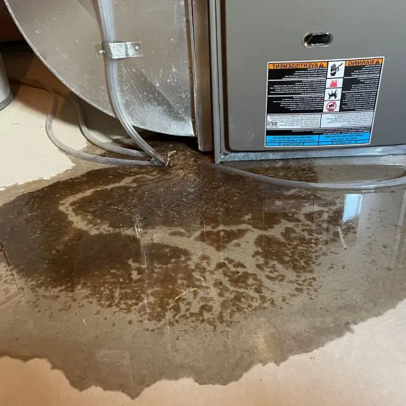 Pipe Burst and Leak Restoration in North Mankato, MN