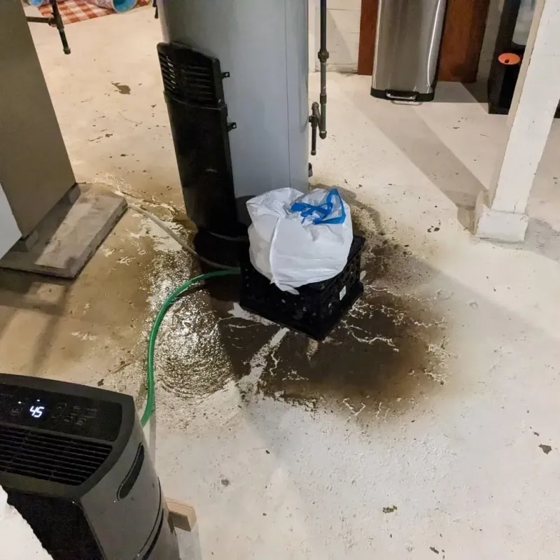 Sewage Backup Cleanup Service in North Mankato, MN